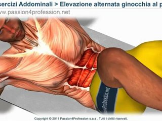 Addominali per principianti