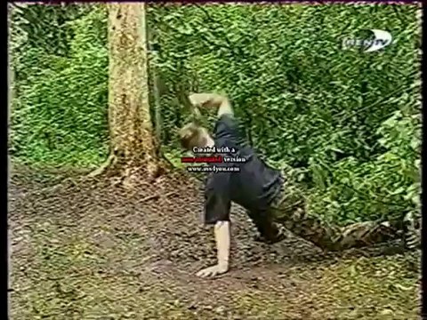 Военная тайна о С-42