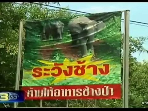 ข่าว 3 มิติ วันที่ 29 กรกฏาคม 2555