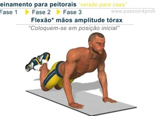 Treino Musculação Peito (Peitorais)