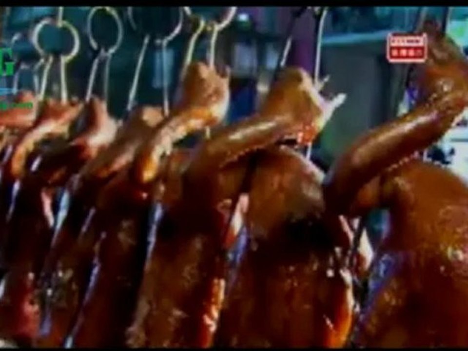 Lo-Quay-Vit-Lò nướng gà - VỊT-Thietbimay3g