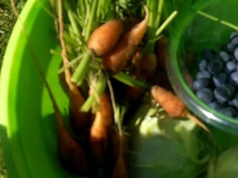 Knoblauch & beton - iceworx.org