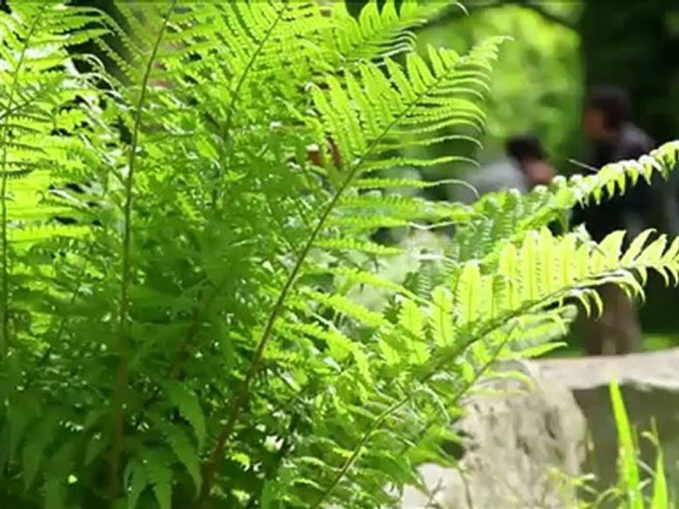 Les Jardins de l' Eau du Pré Curieux - La Vie de Chalet Episode 74 Saison 2 Série 3