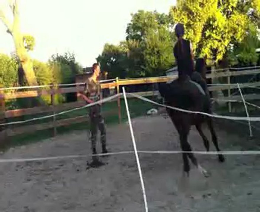 vermouth 011 trot