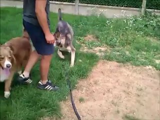 loki apprentissage assis et diego 29 07 2012