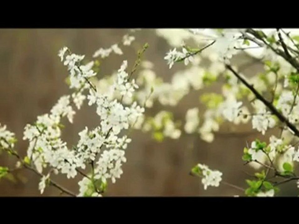 Emre Kaya - Toz 2012 Video Klip