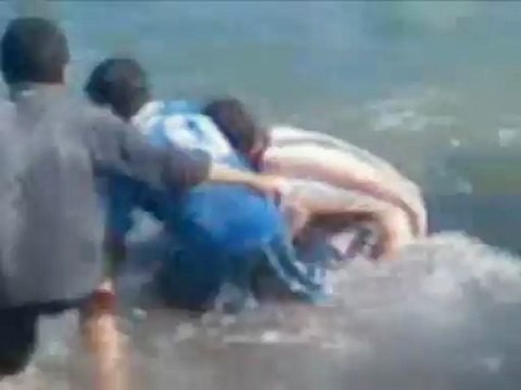 Un dauphin joue avec des enfants sur une plage de Chetaïbi à Annaba