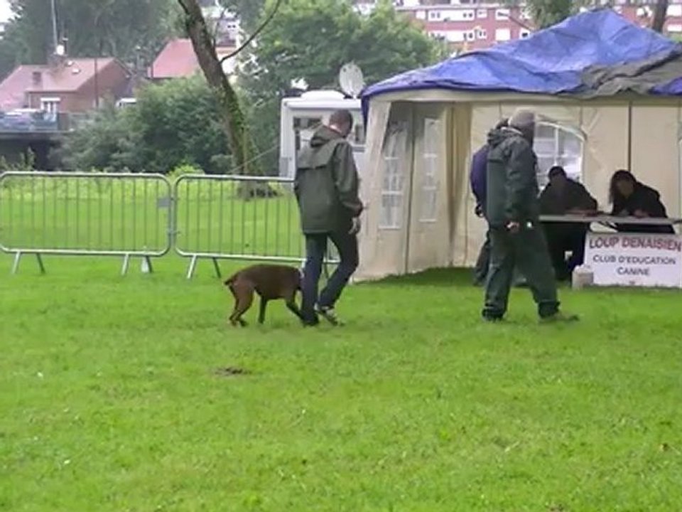 LAURENT ET FENIX au C.S.A.U le 14/07/2012 à DENAIN