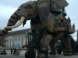 Eléphant des machines de l'île