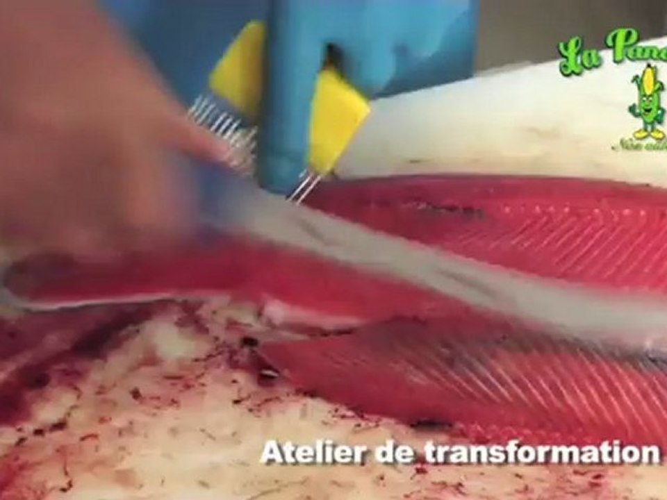 Pisciculture Teppe - La Panouille à Ceyzeriat