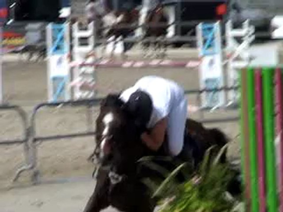 Lamotte 2012