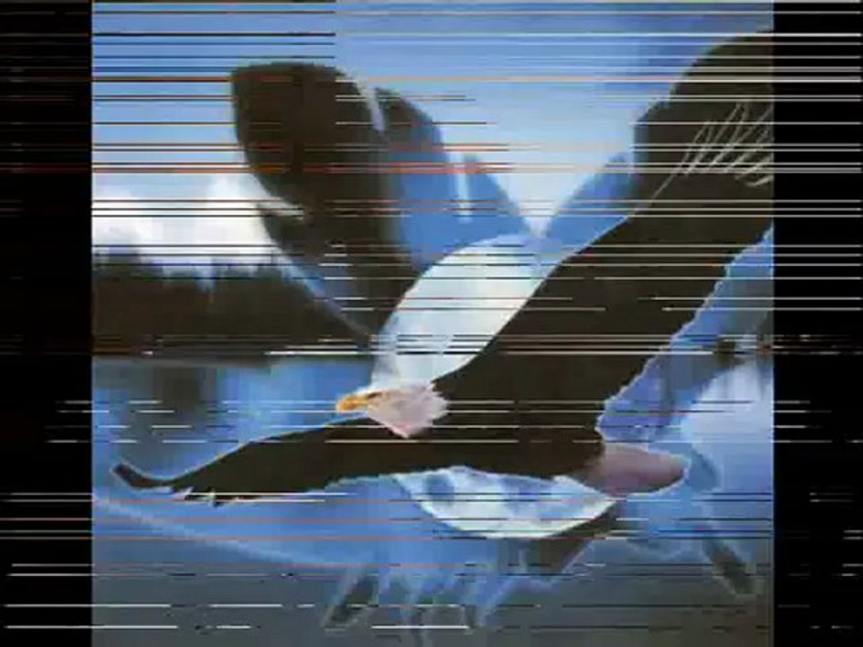 L'Aigle Noir (Barbara Cover)