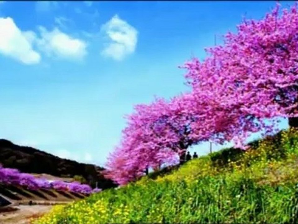 Notre Prophète (pbsl) nous a informé qu'une partie des soi-disant savants religieux vont s'opposer au Mahdi (psl) à la Fin des Temps