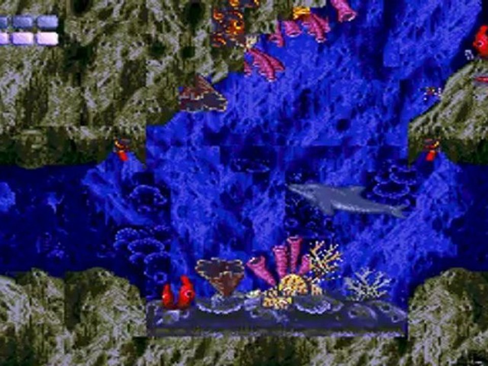 Ecco le dauphin (MD)