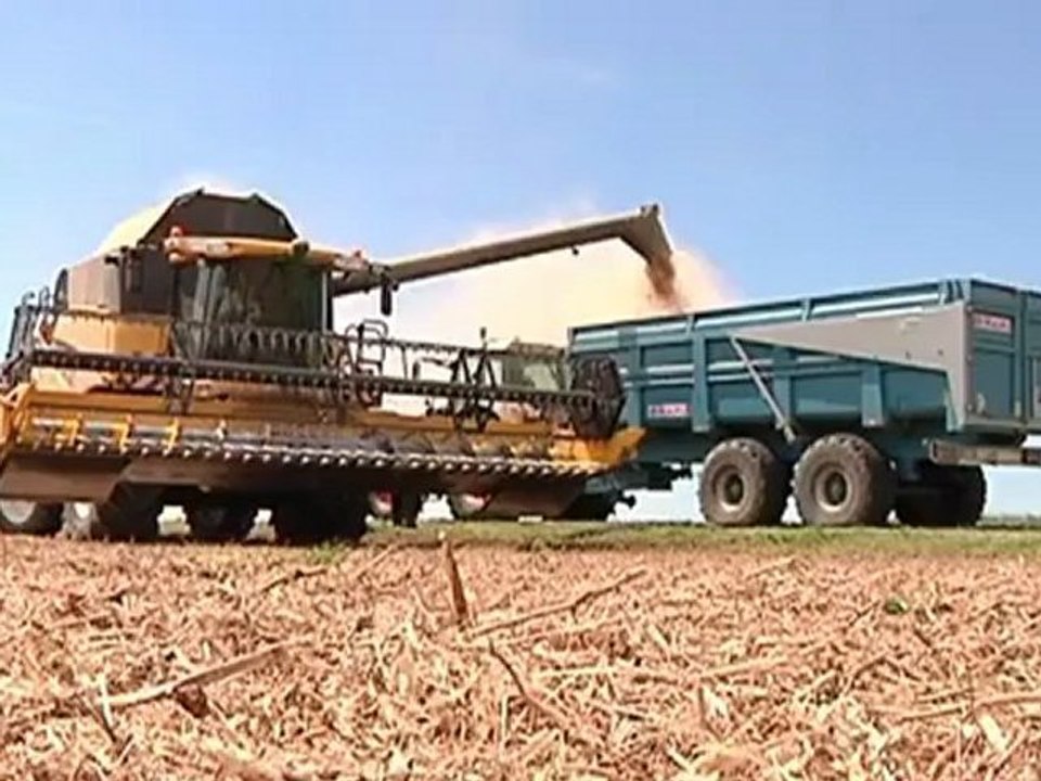 La moisson bat son plein (Roncenay)