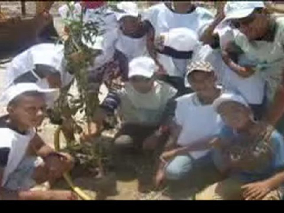 alghad2