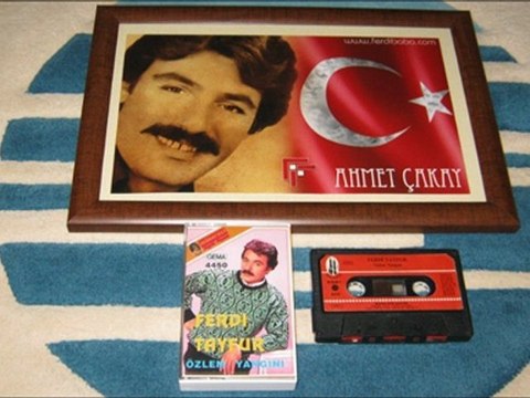 Ferdi Tayfur & Hasretini Eklemedinmi ( Sevgiler Çiçek Gibi )