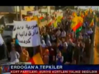 BDP, HAK~PAR, TDŞK, Koma dîalogê ya Dijle~Firat û hwd, piştgiriyê dan rojavayê Kurdistanê.