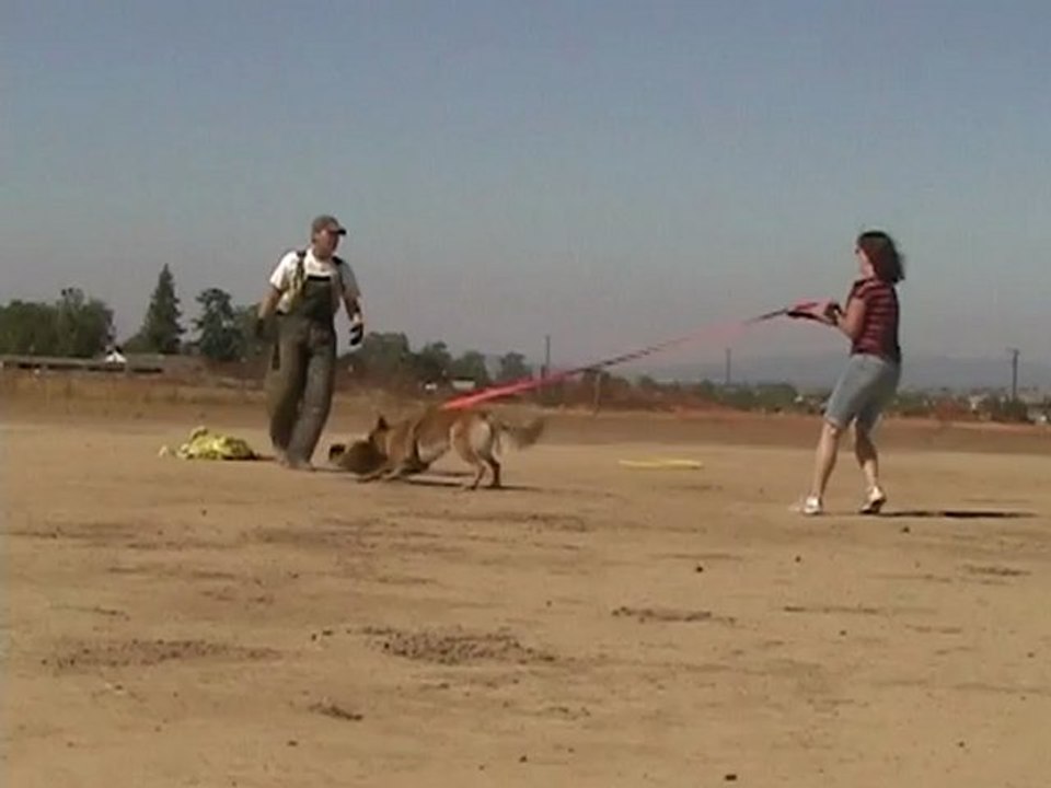 Gaetz bite work with Bart #1-2012-07-28 09;18;51