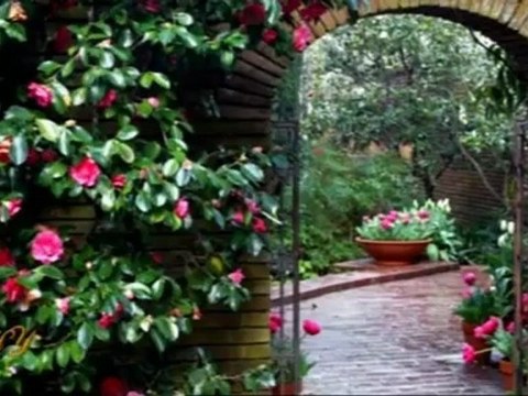 Dire - 'Il n'y a pas la croyance de l'évènement du Mahdi en Islam, c'est venu du Judaïsme' est une interprétation non valable pour dissimuler l'évènement du Mahdi