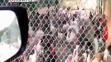Нашел общий язык