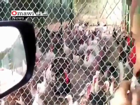 Нашел общий язык