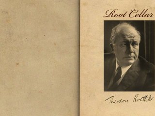 Root Cellar by Theodore Roethke - Poetry Reading