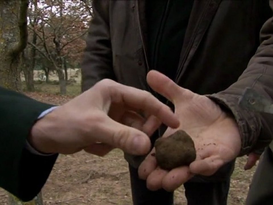 Film : SERIE - EPICERIE FINE - LA TRUFFE NOIRE DU TRICASTIN