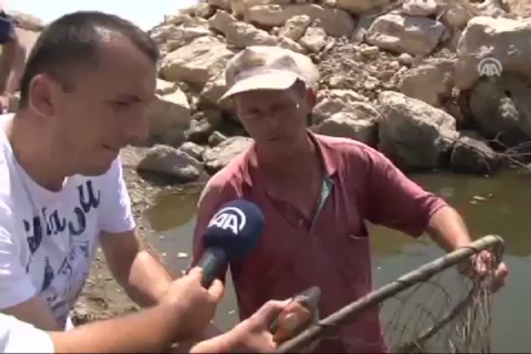 Meriç Nehri'nde pirana iddiası