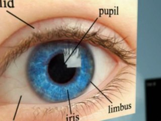 LASIK Advocacy Groups