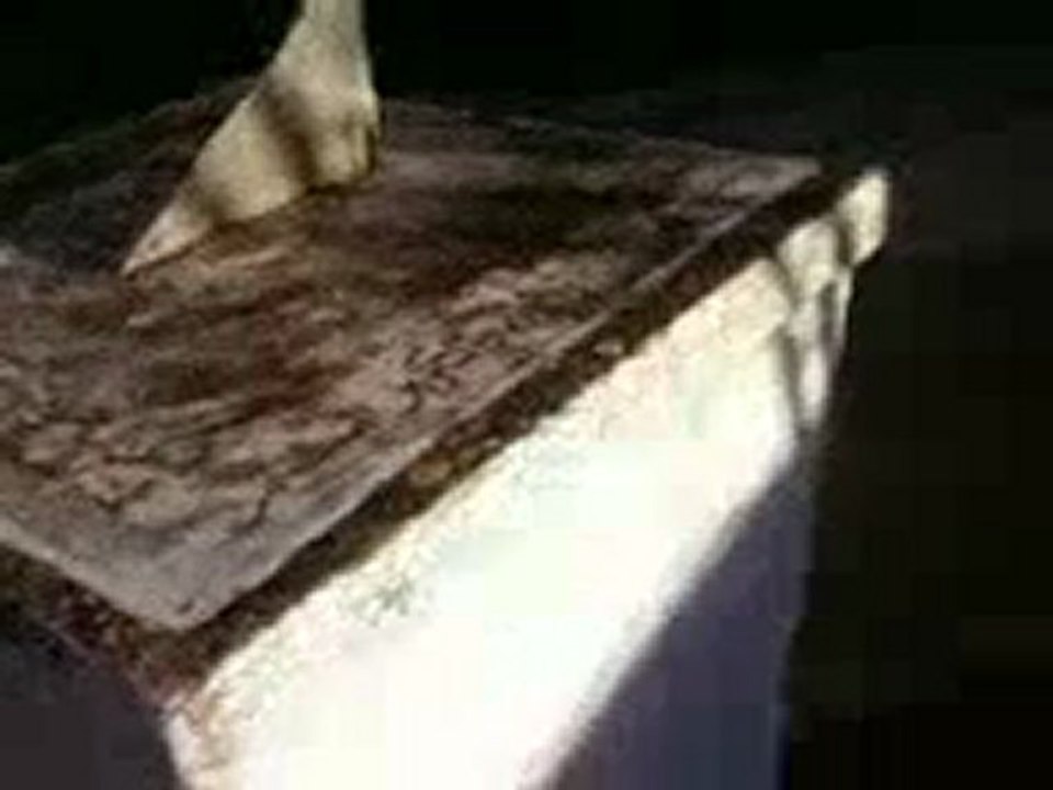 isefc avenue de la libertée bardo tunis tunisie