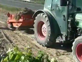 Scraper pour vigne et arbres - 2