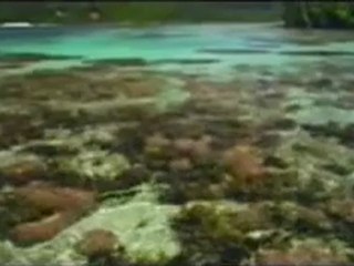 ISlam - The Fog is Lifting - part 8