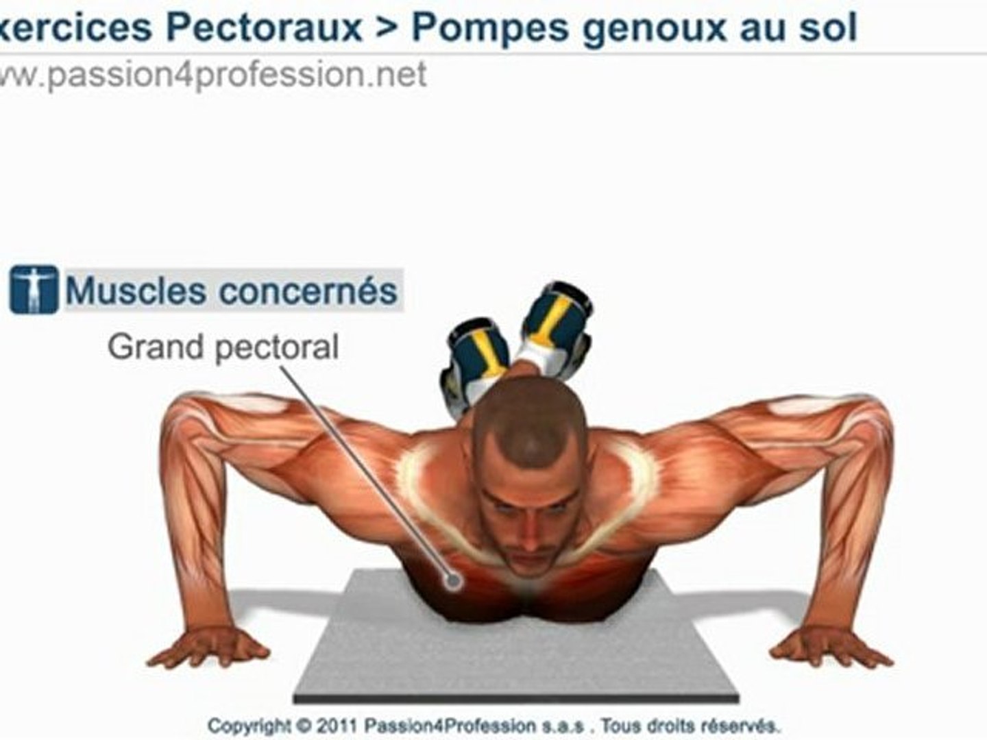 Отжимания от пола для грудных мышц для мужчин дома - фото