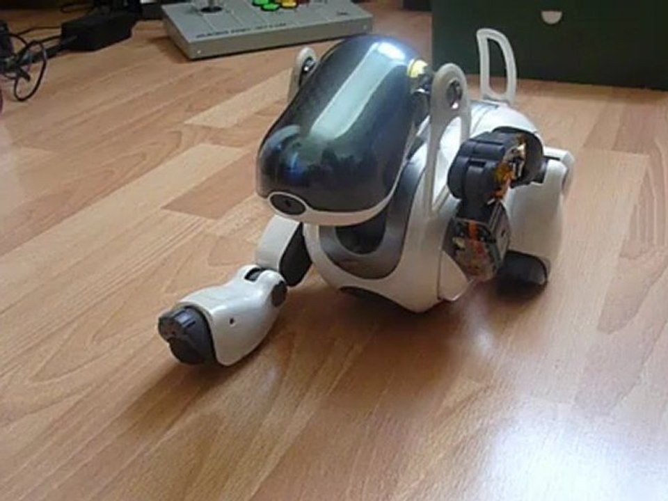 Bug Sony Aibo (sans MS)