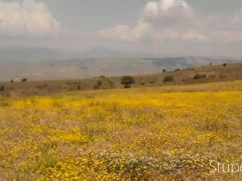 Çokrak Köyü-Temmuz 2012