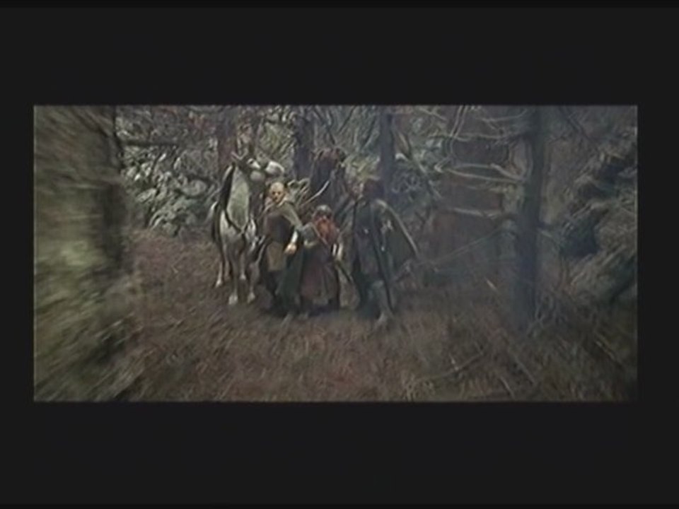 Le Seigneur des Anneaux : Le Retour du Roi 02/ HD
