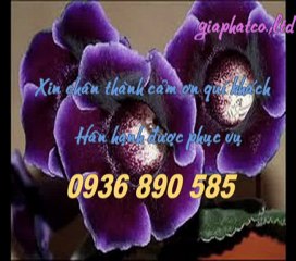 Sửa chữa chống thấm tại quận tân bình call 0936 890 585