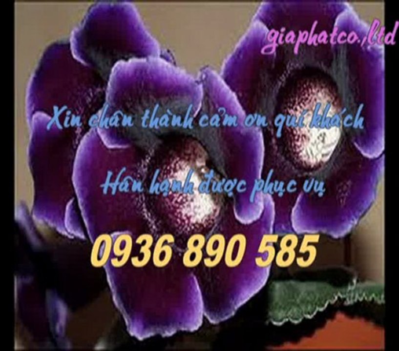 Sửa chữa chống thấm tại quận tân bình call 0936 890 585