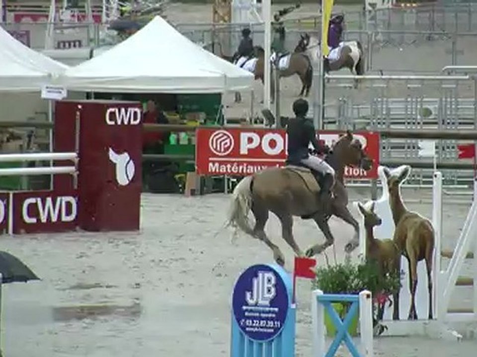 Lamotte 2012 CCE