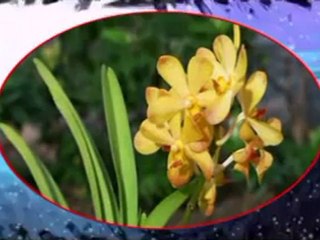 Ahmet çolakın iddiasının geçersizliği-2