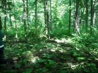 Capsule chasse à l'orignal - Prospection - Aimé Lessard