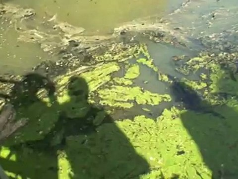 Qualité des eaux des rivières et des captages >Eau publique 8-6-12