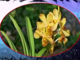 AHMET ÇOLAK'IN İDDİASININ GEÇERSİZLİĞİ -2