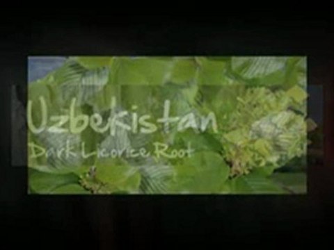 (770) 251-1125 herb shop 30263 Newnan, GA weight loss supplements Ionic Footbath Eye