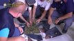 Brindisi - Sequestrati 310 chili di marijuana nel porto (31.07.12)