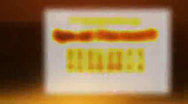 MSI G Series GE60 0ND-042US 15.6-Inch Laptop Review | MSI G Series GE60 0ND-042US For Sale