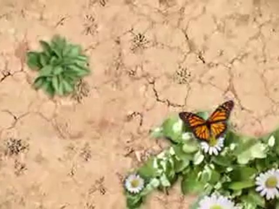 TCL LE39FHDF3300TA 39-Inches 1080p LED HDTV with 2-Year Limited Warranty - Black