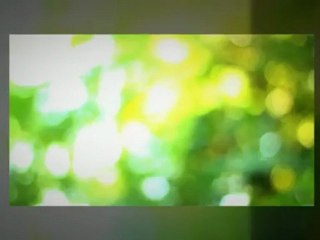 Best Pontoon Maintenance Service