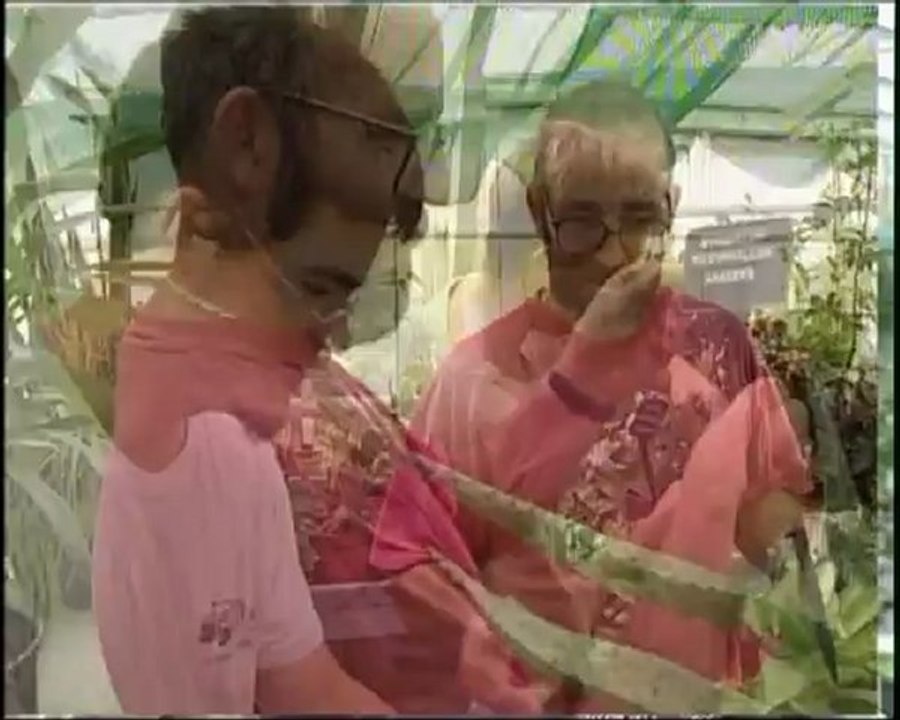 Pour une véritable insertion des personnes handicapées  - Novembre 2006 - Expression Directe CFTC